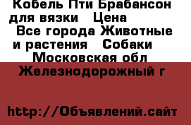 Кобель Пти Брабансон для вязки › Цена ­ 30 000 - Все города Животные и растения » Собаки   . Московская обл.,Железнодорожный г.